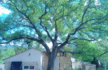 Sous un chêne bicentenaire - Foto 8