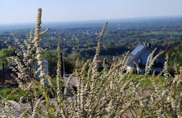 MICHAŁÓWKA - Domek w Górach przy Lesie - Energylandia - Foto 43