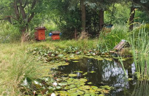 Haus "Grimberg" FeWo 1-stock oder FeWo 2-stock & Zusätzliches Zimmer - Photo 53