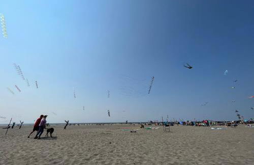 Beach Melody - Foto 31