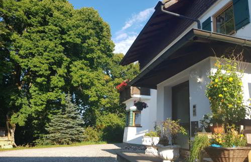 Villa im Wald - Photo 33