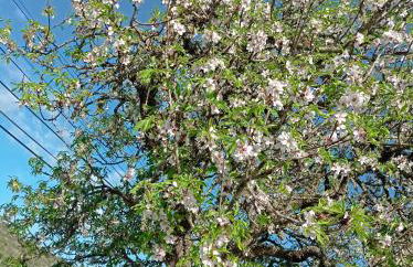 Casa Raios de Sol - Photo 13