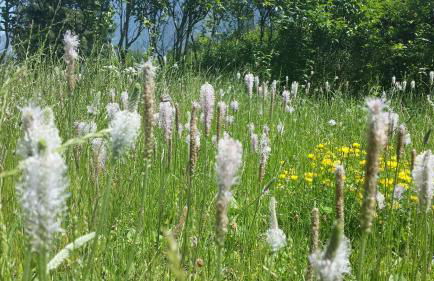 Landhaus Lehhof - Foto 53