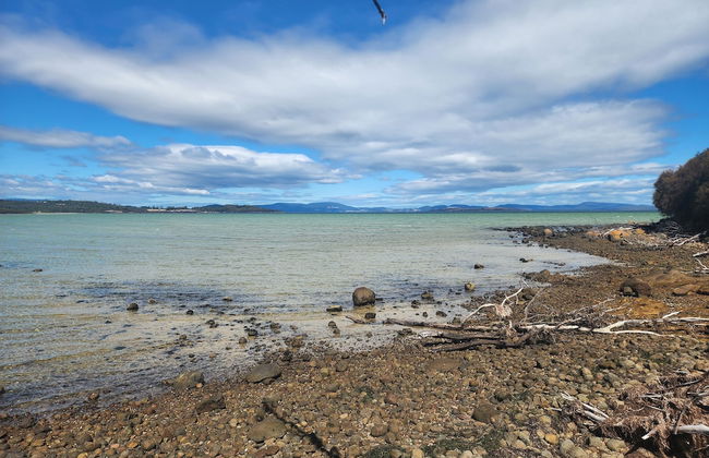 Flotsam Studio Accommodation - Photo 70