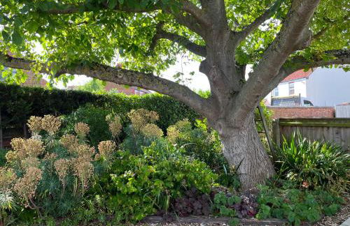 Walnut Corner - Foto 13