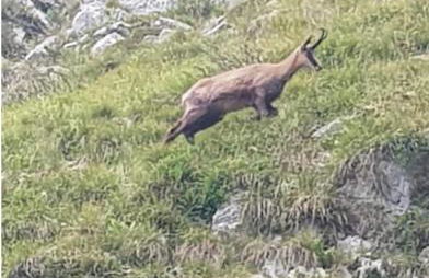 Stephanie Residence - in the heart of Alps above Varenna, Lake Como - Foto 27