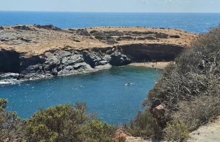 Casa Rosas - Foto 11