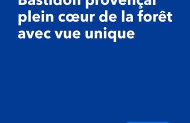 Aix-en-Provence, Bastidon provençal plein cœur de la forêt avec vue unique - Foto 13