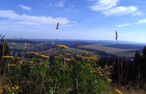 Ferienwohnung Familie Kowarik - Foto 23