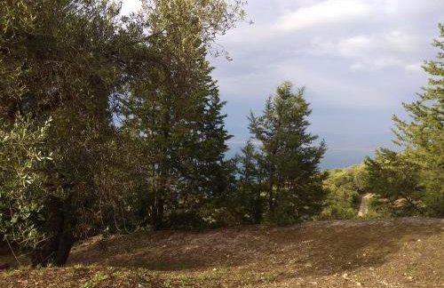 Efi Loutses - Foto 38