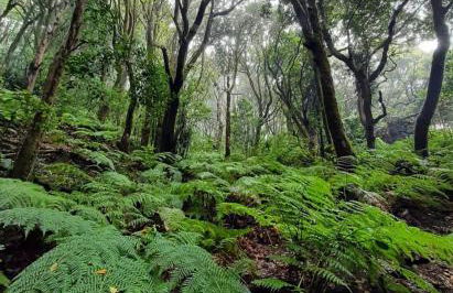 EDEN RENTALS Oasis Penthouse in Santa Cruz - Foto 44