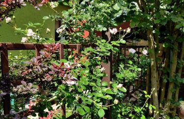 Różany Domek - Foto 2