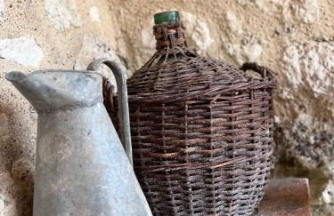 Domaine de Tayssou - Foto 39