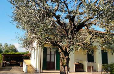 Casa Sandra - Foto 1