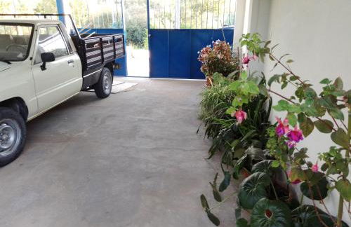 CASA DA ALDEIA - Ponte de Sor (Alentejo) - Foto 7