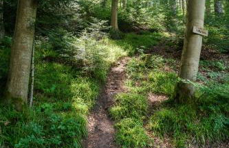 1-Zimmerapartment Am Hochwald - Foto 15