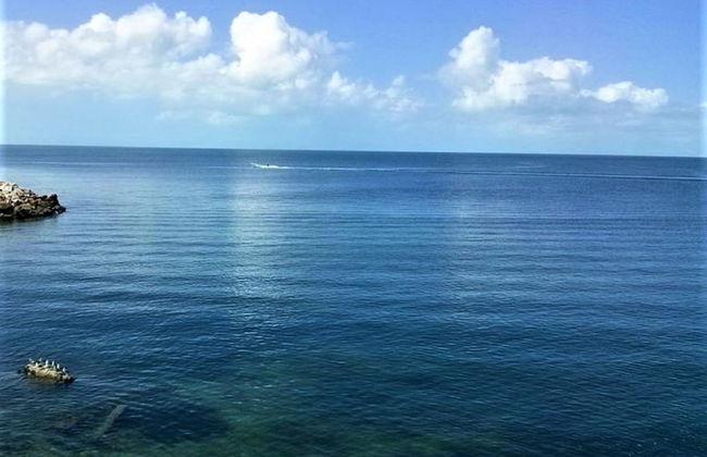 Kaeli's Caribbean Studios - Photo 64