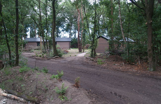 2 bedroom House in Ruinen with swimming pool and terrace - Photo 11