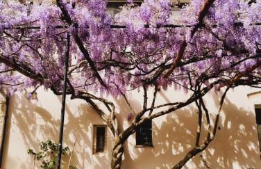 Marrucheto - Foto 67