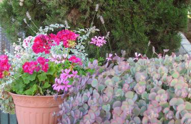 Apartments Villa Elizabet - Foto 59