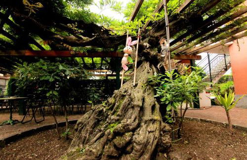 Apartment Lake Maggiore - ITALIA - Foto 31