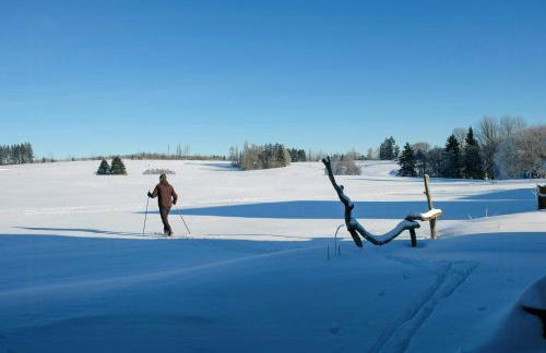 Log Cabin In The Upper Harz Mountains - Foto 36