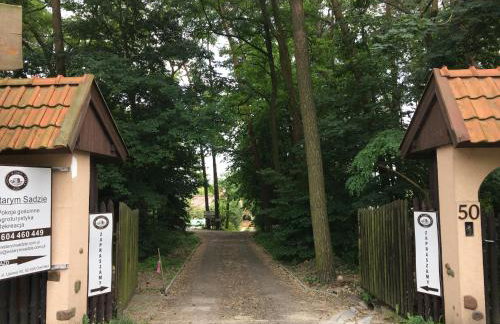 W Starym Sadzie - Foto 40