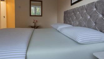 The Terrace - Photo 5