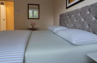 The Terrace - Photo 5
