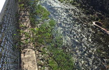 Ferienhaus am Fluss mit traumhafter Dachterrasse ,Garten und Grill - Foto 60
