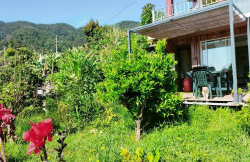 casa do campo - Foto 14