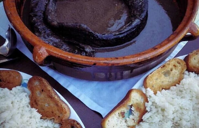 Casa do Cribeiro - Photo 26