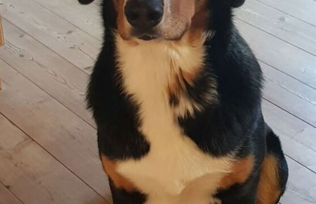 Characteristic Apartment in Bernbeuren - Foto 12