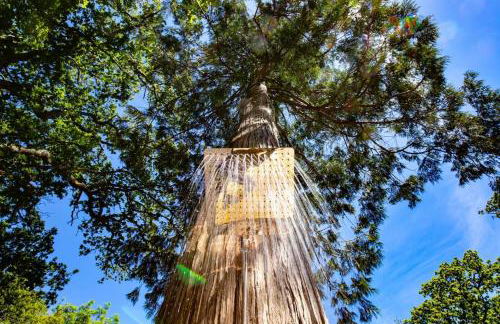 Tresillian Lodge Waterfront, Forest, Hot tub,Sauna - Foto 23