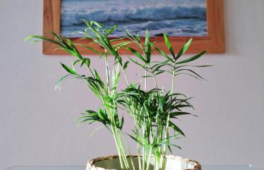 Bela Vista_ Cozy Apartment with Sea View - Foto 12