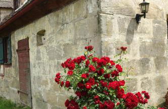 Panorama-Domizil Tauchershof - Foto 30