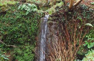 Il Bosco di Campo Marzano studios - Foto 67