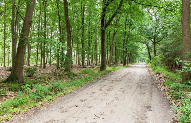 Attractive Holiday Home in Gorp and Roovert Estate - Photo 74