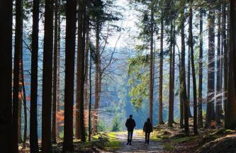 L' Extravagante im Garten von Schloss Schmidtheim - Foto 15
