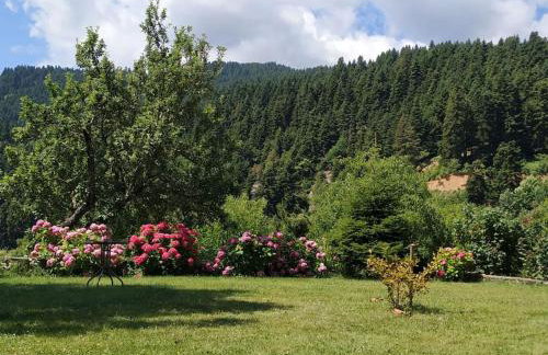 Παραδοσιακή πέτρινη κατοικία στην Βλάχα Ελάτης - Foto 12