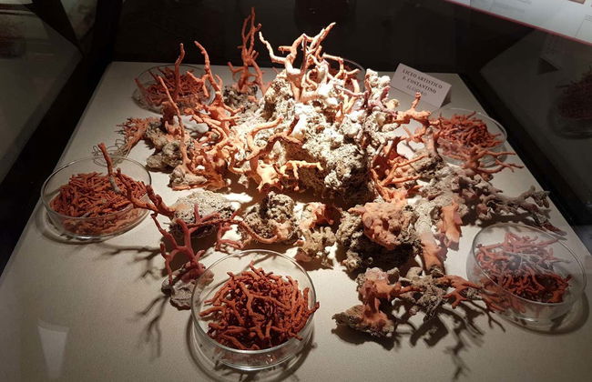 Night Tour of Alghero + Coral Museum - Photo 3