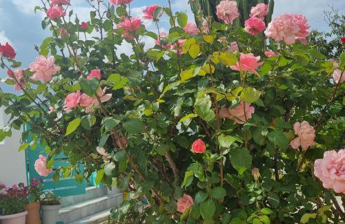 Arocaria Apartment in Faliraki with garden , mountain and sea view - Photo 32