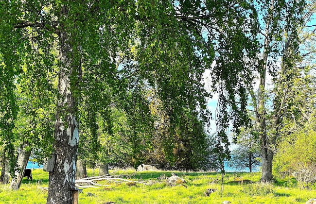 6 Person Holiday Home in Hova-by Traum - Foto 25