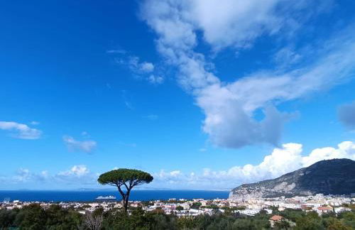 La Pigna Sorrento - Foto 44