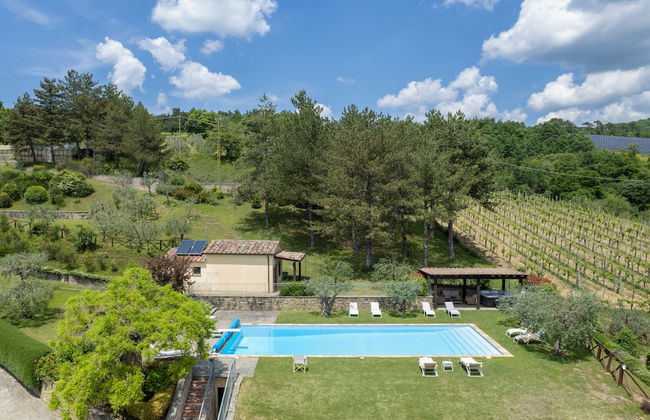 Villa Olivi - Foto 37