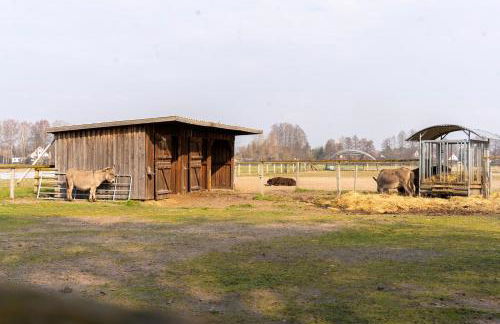 LANDHAUS by Comfort Housing - up to 7 guests - Foto 43