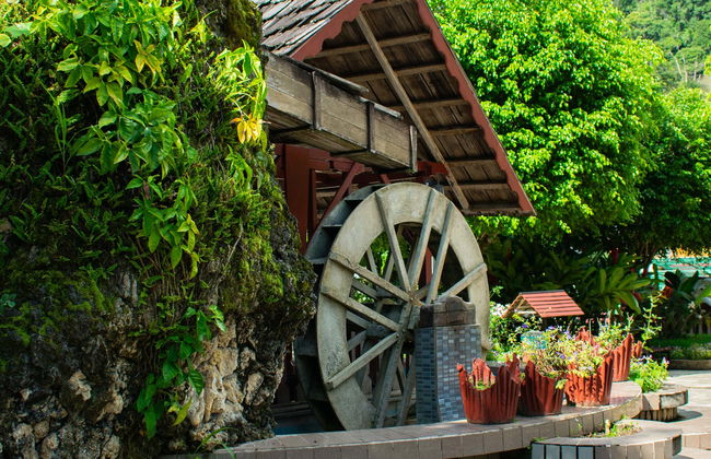Tour de 2 días por Oxapampa y Pozuzo - Foto 7