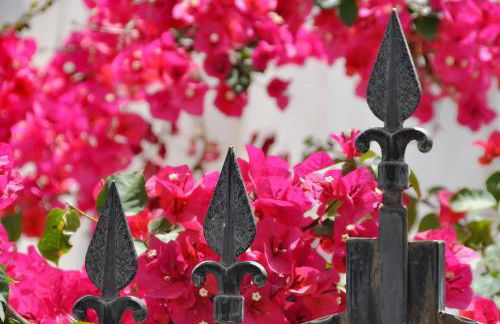 Villa Ianthia - Foto 10