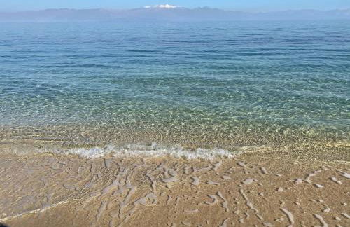 Stonevillas and Seaview Garden Marion - Foto 54