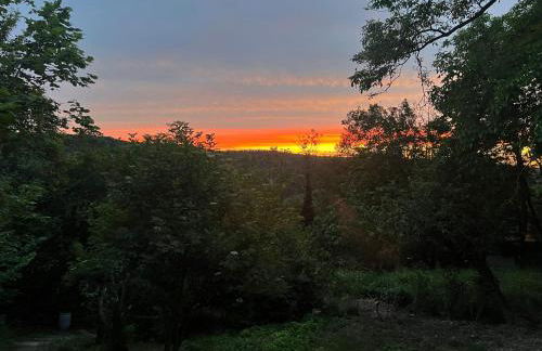 Henrys Cozy Tiny House - ruhig, Garten, Terrasse - Foto 26